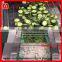 Multifunctional Vegetable Fruit Cutter Machine