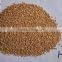 high silica growing media Diatomite /horticulture grade diatomite