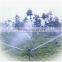 1/2" Plastic impulse irrigation sprinkler