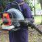 Air blower for green leaves