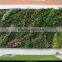Songtao Natural Looking Green Artificial Vertical Green Grass Wall