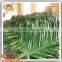 Factory direct sale artificial outdoor palm trees,decorative metal date palm trees