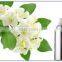 Chameli Oil