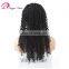 Hot Selling Factory Price Undetectable human hair full lace wig