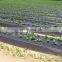 20 Micron 120cm*1000m Black Plastic Mulch Film On Sale For Garden