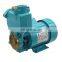 Household booster pump for irrigation water pumps 0.5HP