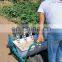 5 Rows  Garlic Seeder planter machine for sale