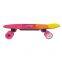 Hot sale wholesale H2S-01 fish board model factory directly   remote control four wheel electric skateboard