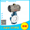 Pneumatic actuators Stainless steel pneumatic head