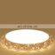 Modern Simple Round LED Living Room Ceiling Light Creative Acrylic Bedroom Lighting
