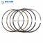 Hot sale Marea 1.8 16V piston ring for RENAULT