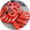 Dubai anchor chain supplier anchor chain in stocks anchor chain factory