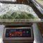 2022 New Crop A Grade Frozen vegetable Length 4 - 9 cm  IQF Frozen Sugar Snap Peas
