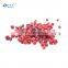 Taste So Sweet 2021 New Crop Good Tropical Fruit IQF Frozen Red Lingonberry
