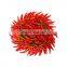 wholesale supply Capsaicin Powder chili extract