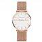 Elegant white collar lady DW style simple Japanese movement Watch