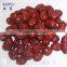 chinese dried red dates for sale