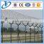 Single Razor Type and Galvanized barbed wire