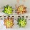 Home decor artificial succulent centerpieces mini succulent plastic succulent