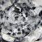 25D*25D polyester fashion fabric in 2015