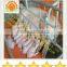 automatic breeding pig farming equipment and floor