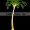 Decorative Large Artificial Led Outdoor Lighted Palm Trees