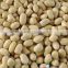 Chinese blanched peanut kernels in round shape for sale
