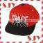 Custom Logo Flat Brim 6 Panel Flex Fitted Snapback Caps