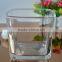 Clear square glass vase with 46oz capacity from Bengbu Cattelan Glassware Factory