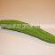 HOT /pu decoration bitter gourd cheap wholesale