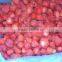 Frozen Egyptian Fruits ( Frozen Strawberry )