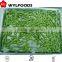 high quality from china FROZEN BLANCHED SOY BEANS best price