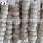 CHINA PURE WHITE FRESH GARLIC