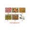 New design mini manual corn /beans / wheat planter
