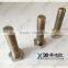 Hastelly B2/2.4617 Stainless Steel Fastener Full Thread Hex Bolts C276.. C4.C22. B3