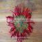 Korean Chili Pepper Hybrid Asian Vegetable Seeds with Good Quality & High Yield