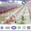 U-Best automatic poultry equipment/ chicken house equipment/ poultry house complete farming system