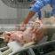 Professional Pig Slaughterhouse Plant Skinning Machine For Hog Abattoir Eqiupment