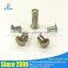 Custom aluminum rivets