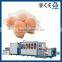 Made In China Polystyrene Foam Egg Box Making Machine