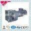 S helical worm gear motor