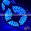 IP68 underwater 12V led light strip 5050, blue led strip light