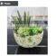 artificial succulents artificial mini succulents artificial succulents wholesale