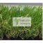 cheap price and  beautiful  colors  landscape grass