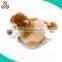 wholesale stuffed Cute plush Panda Piggy Bank