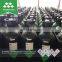 Seamless Steel 50L Low Price Nitrogen Gas Cylinder Price