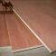 hot sales commercial plywood poplar core furniture plywood