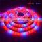 LED Strip Light Plant Grow Lights 16.4ft/5M 5050 SMD Waterproof Full Spectrum Red Blue 4:1 Growing Lamp