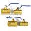 BSPT High Quality DN25 1000BS 2PC Brass Threaded Ball Valve