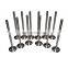 Free Shipping!For Audi A4 Q A6 VW Beetle Golf Passat Set of 12 Engine Intake Valve 058109601C